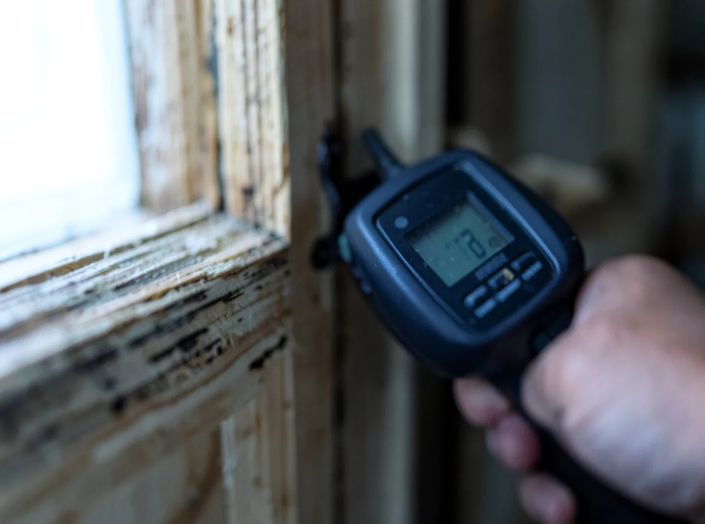 Moisture Inspection And Documentation in Dexter, GA